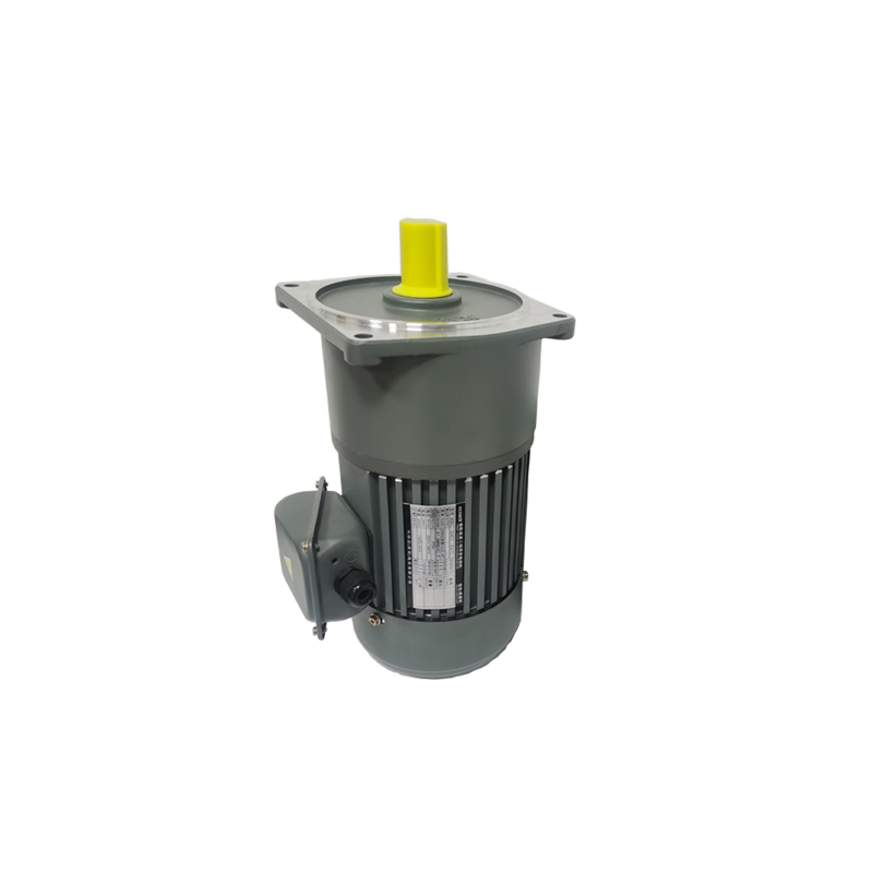 GV vertical reduction motor