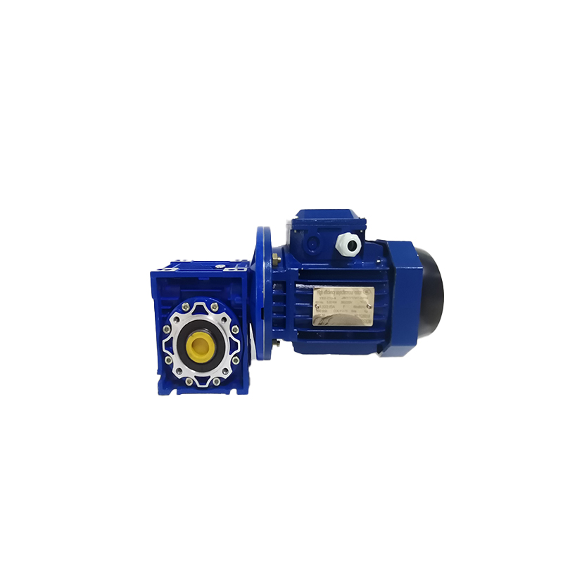 RV worm gear motor